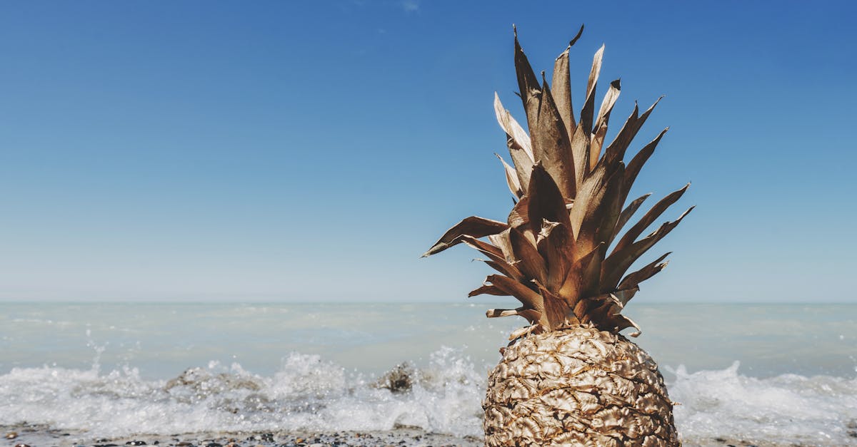 The Role of Dental Crowns in Repairing Broken Teeth